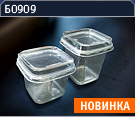 Б0909